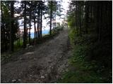 Črnivec - Vivodnik